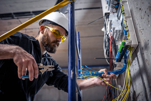 Best Electric Panel Repair  in Melvindale, MI